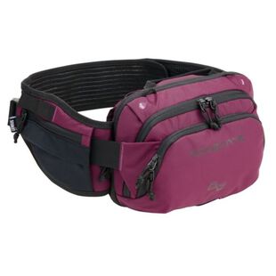 Skybags waist top bag