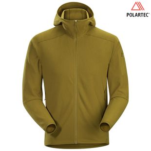 Arcteryx delta lt hoody shop