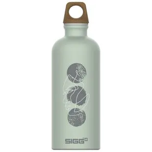 SIGG Explorer 750ml Bottle (Brushed)