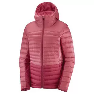 ALÉ PR-S GRADIENT women's jacket, black/fluo pink 