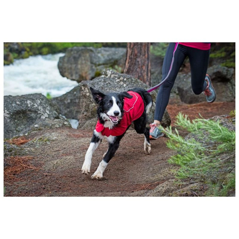 Ruffwear aira shop dog coat