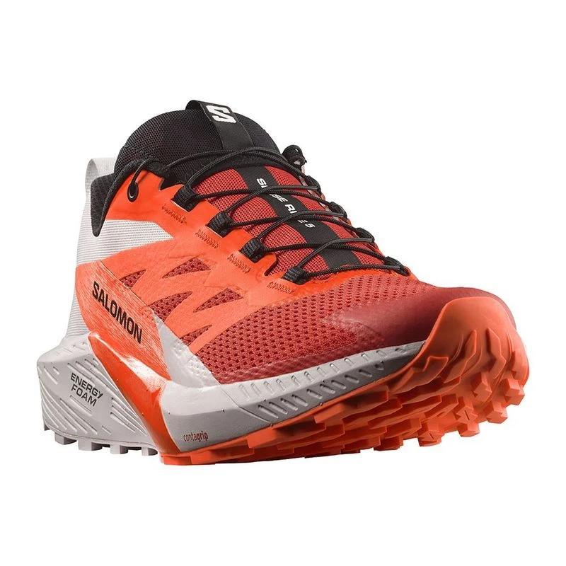 Salomon mens shoes sale online