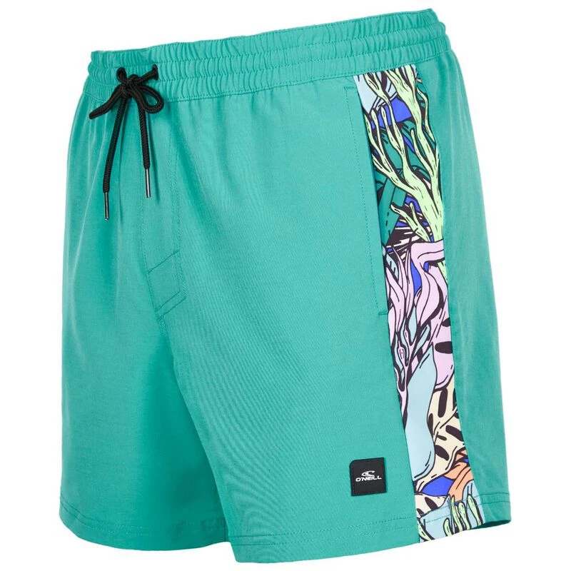 Coast coast swimwear mens discount