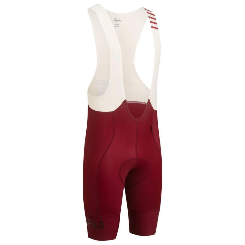 pro team bib shorts ii