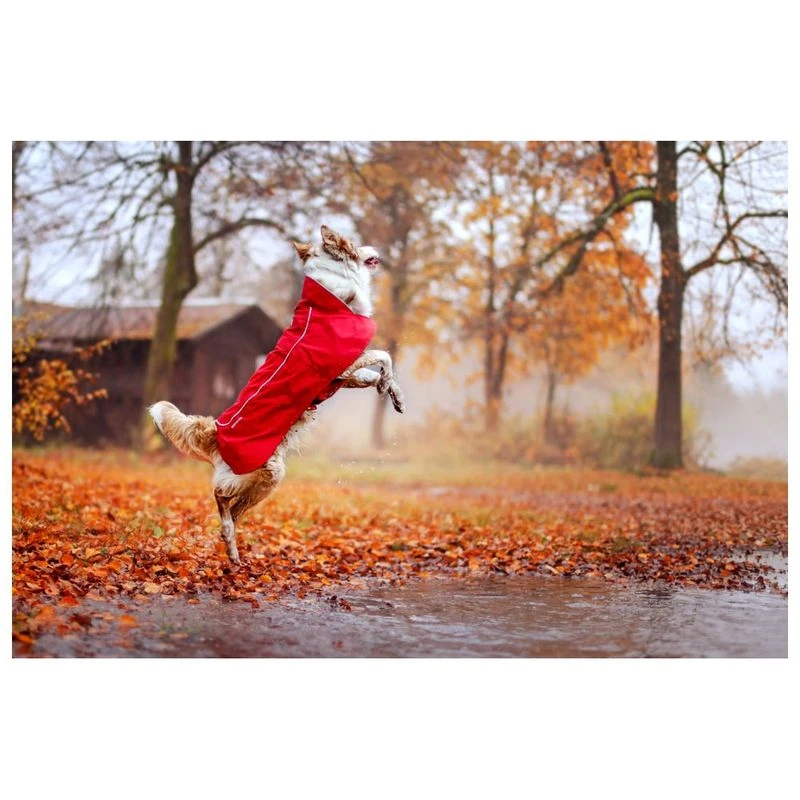 Ruffwear aira jacket outlet