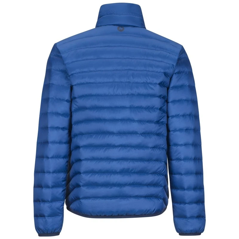 Dark outlet cerulean marmot