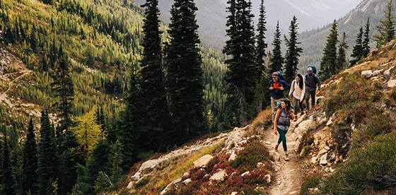 Marmot Outdoor